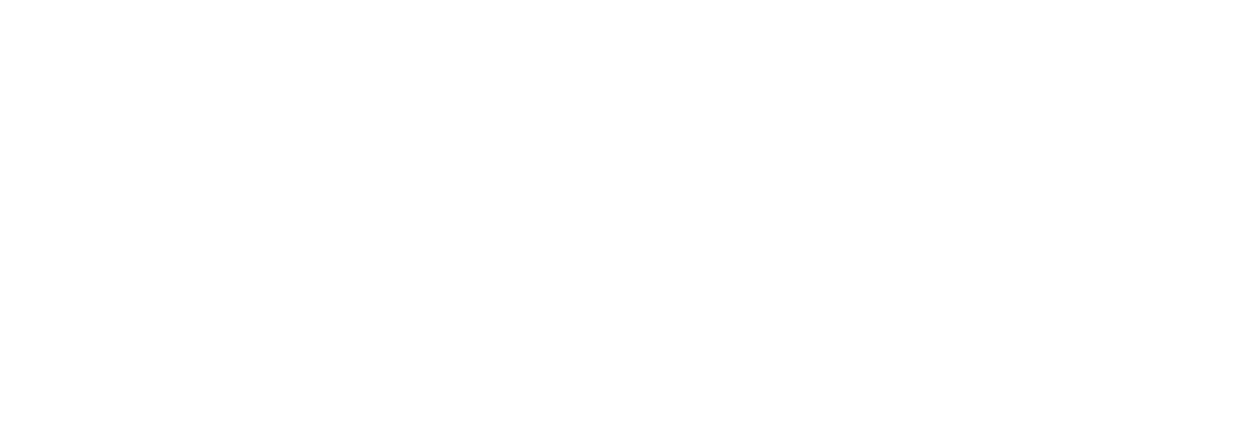 Clyver  specialization